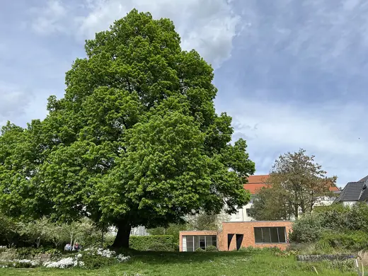 Photo 3: Exterior · Haus Lemke in Berlin-Alt-Hohenschönhausen, Deutschland