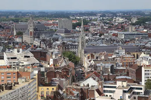 Photo 3: Exterior · Picture taken from the top of the belfry of Lille, France
