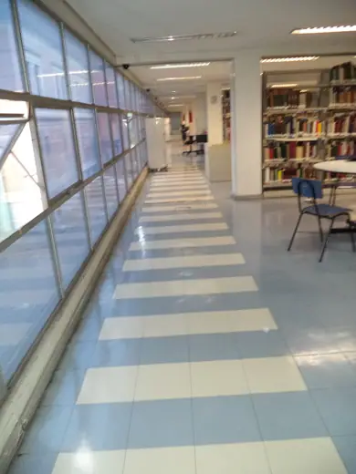 Photo 4: Interior