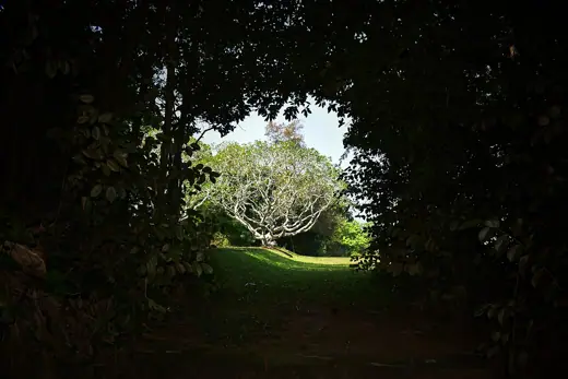 Photo 2: Exterior · Nice natural view at Geoffrey Bawa's Country house, Lunuganga, Bentota, Sri Lanka