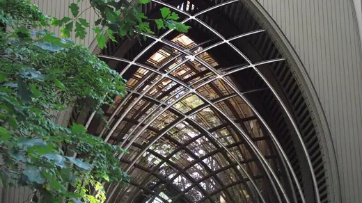 Photo 4: Detail