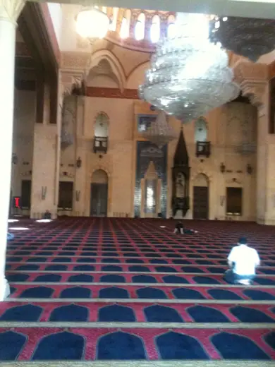 Photo 3: Interior