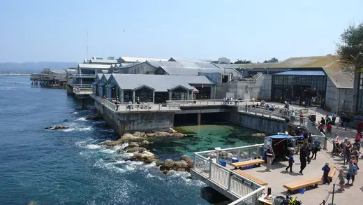 Photo 2: Exterior · Back view of Monterey Bay Aquarium