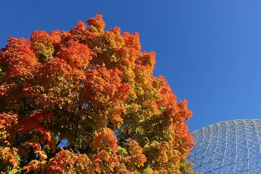 Photo 4: Exterior · Autumn colors @ Biosphère @ Parc Jean Drapeau @ Ile Sainte-Hélène @ Montreal