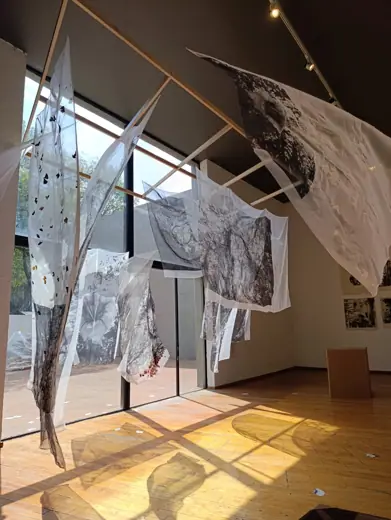 Photo 3: Exterior · Vista de la exposición "Hojas sueltas" en el museo experimental el Eco