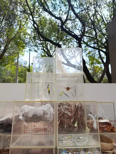 Photo 4: Exterior · Vista de la exposición "Hojas sueltas" en el museo experimental el Eco