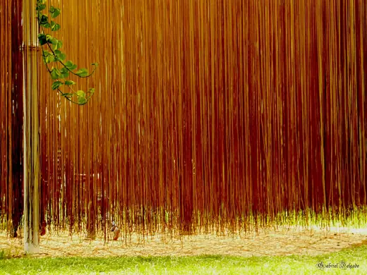 Photo 3: Exterior · Jugando entre Fideos Penetrable Amarillo Museo Jesús Soto