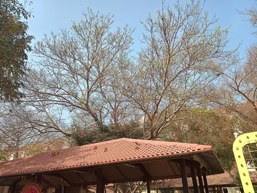 Photo 3: Exterior · Trees