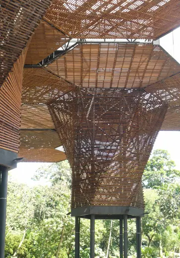 Photo 6: Detail · Site for display of Orchids at the Botanical Gardens