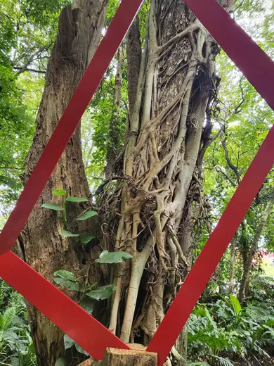 Photo 7: Detail · Medellín