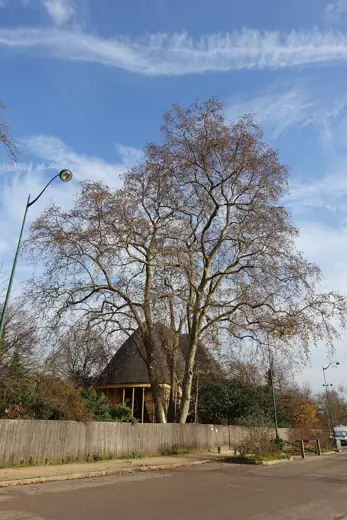 Photo 3: Exterior