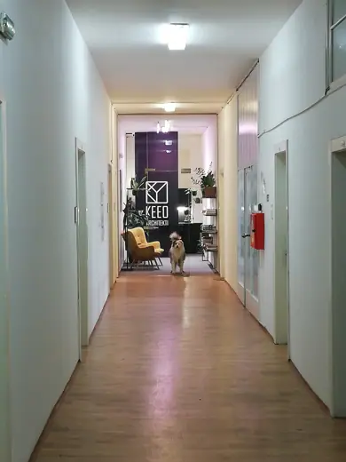 Photo 5: Interior