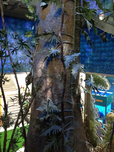 Photo 5: Interior · View from inside of the Árbol Ramón, the resemblance to a real tree can be seen