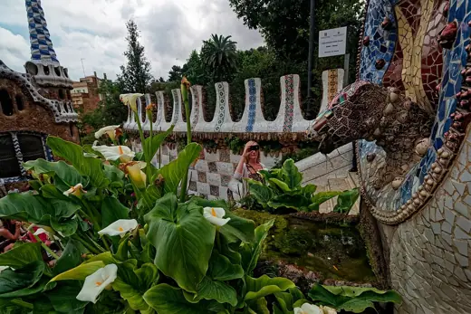 Photo 4: Interior · Barcelona - Parc Güell - Main stairs - Middle fountain - Zantedeschia aethiopica
