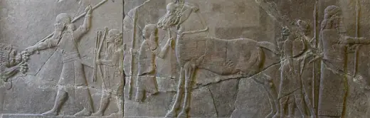 Photo 6: Interior · Lion hunt scene depicting Ashurbanipal