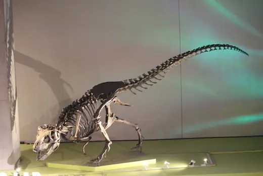 Photo 4: Exterior · Reconstructed skeletal mount of Nanuqsaurus hoglundi at the Perot Museum, Dallas, TX