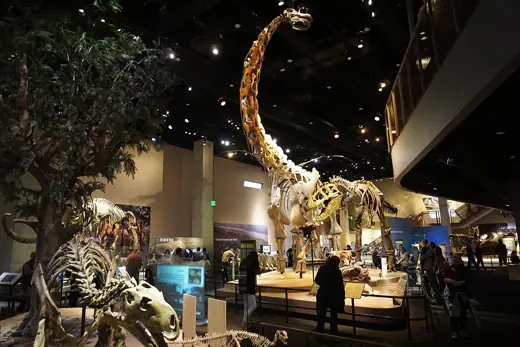 Photo 5: Interior · The Life Then and Now Hall inside the Perot Museum of Nature and Science in Dallas , Texas ( United States )