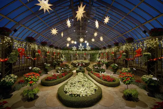 Photo 2: Interior · The Broderie Room at the Phipps Conservatory and Botanical Gardens during the winter flower show of 2015