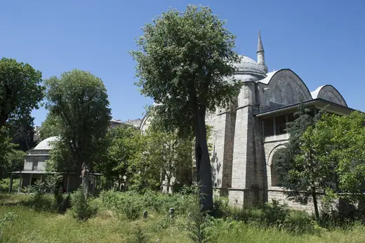 Photo 1: Exterior