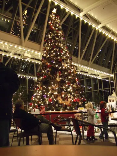 Photo 5: Interior · The tree inside the PPG Wintergarden