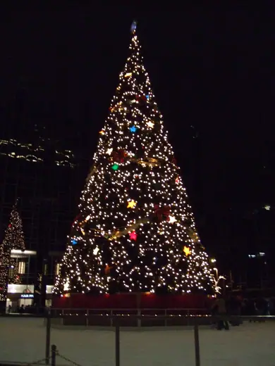 Photo 6: Detail · PPG Skating Rink Tree