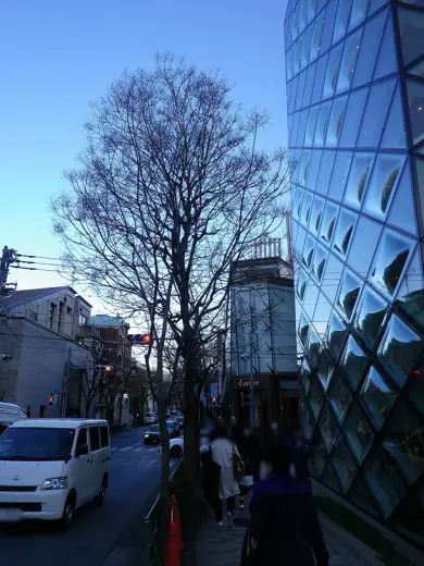 Photo 6: Context