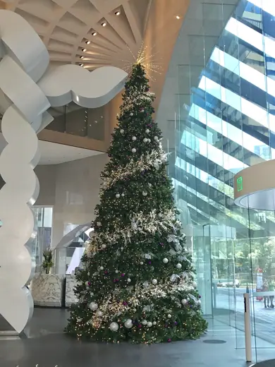 Photo 2: Exterior · Christmas tree in Riverside Centre, Brisbane, Australia 2016