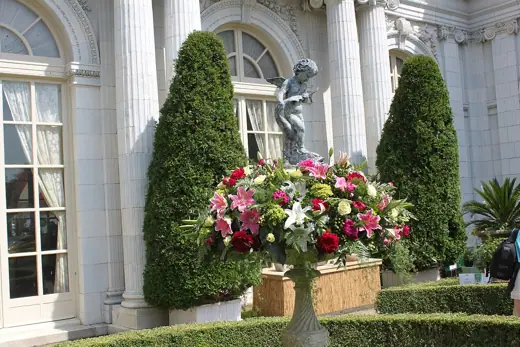 Photo 4: Detail