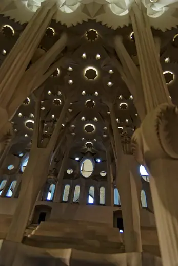 Photo 7: Interior · Barcelona - Crypt of La Sagrada Família - Gypsum Model of Central Nave Vault - Side View