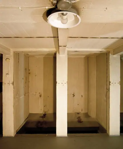 Photo 5: Interior