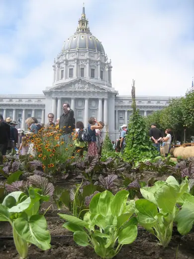 Photo 2: Exterior · The victory gardens at Slow Food Nation