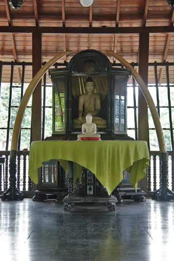 Photo 5: Interior · Main hall of Seema Malaka temple