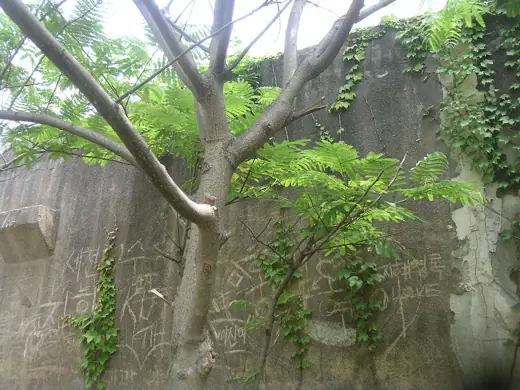 Photo 5: Exterior