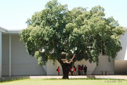 Photo 3: Exterior