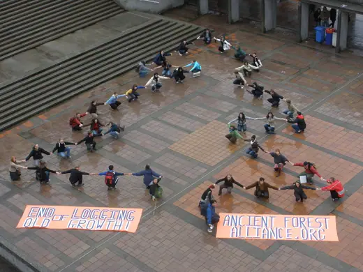 Photo 6: Context