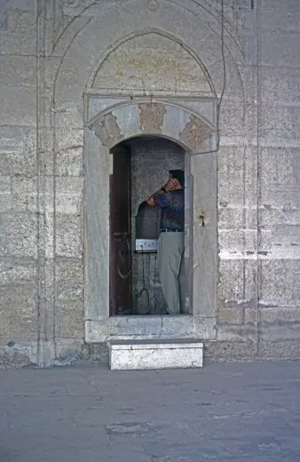 Photo 4: Interior