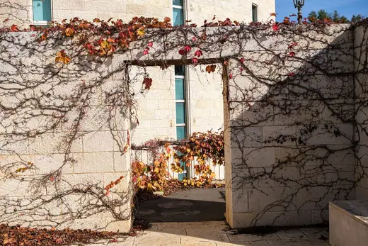 Photo 3: Exterior · The Knesset passageway to the Supreme Court of Israel, Jerusalem, 22 December 2025