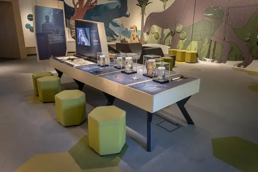 Photo 5: Interior · Installation view of Clever Crustaceans exhibition at Museum of New Zealand Te Papa Tongarewa