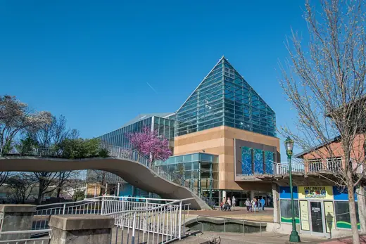 Photo 3: Exterior