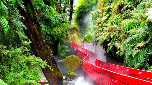 Photo 3: Exterior · Termas geométricas ubicadas entre Coñaripe y Pucón