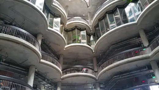 Photo 5: Interior · View of NTU hive from the interior