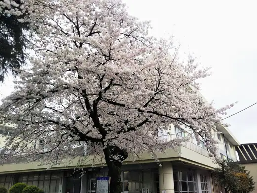 Photo 4: Exterior