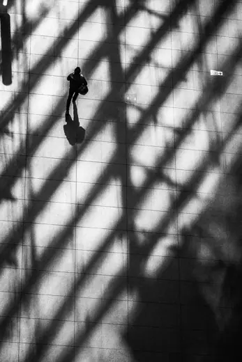Photo 4: Exterior · Shadows created by the structure of the glass roof of the Tokyo International Forum
