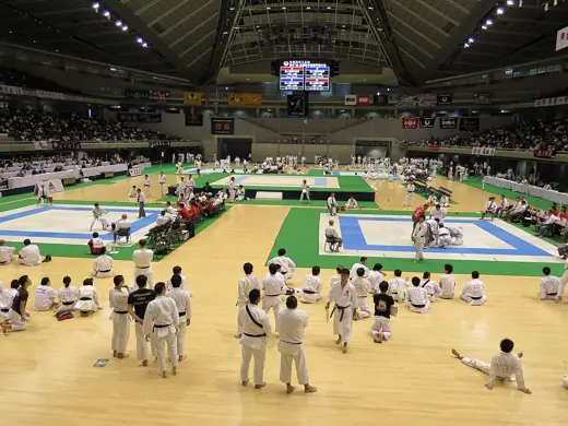 Photo 4: Interior · Sparring in the adult mens division at the 2014 Japan Karate Association national tournament
