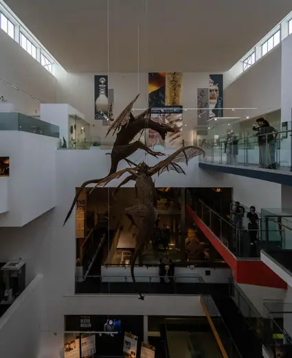 Photo 3: Interior · Atrium, Ulster Museum