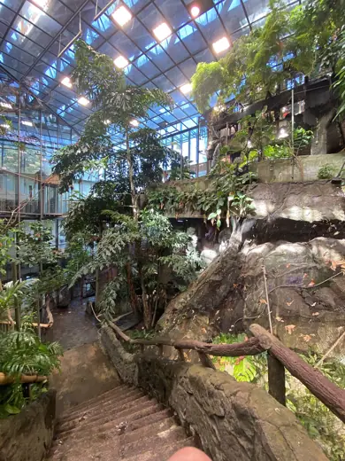 Photo 5: Interior · Inne i regnskogen på Universeum i Göteborg