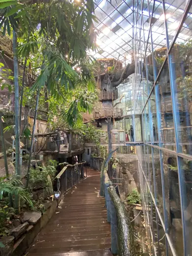 Photo 6: Interior · Inne i regnskogen på Universeum i Göteborg