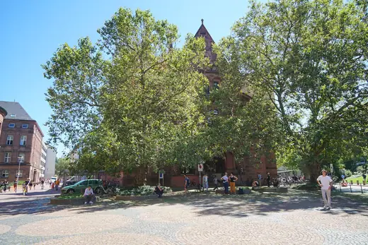 Photo 3: Exterior