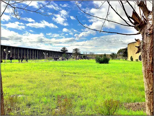 Photo 3: Exterior