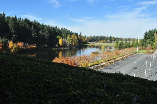 Photo 6: Context